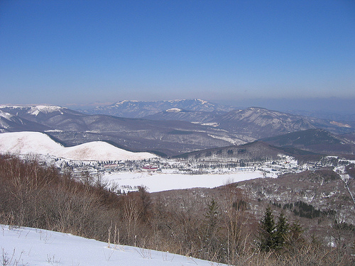 image from www.flickr.com