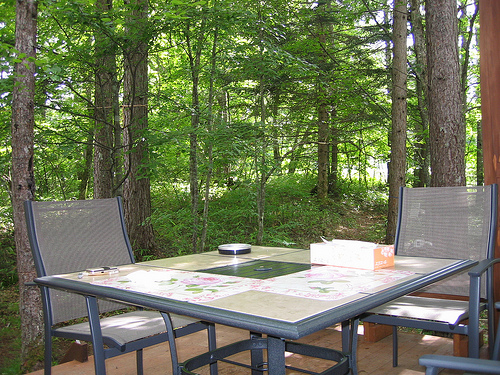 image from www.flickr.com