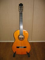 私の愛用のギター　My favorite guitar