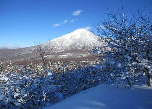 八子ガ峰から見た蓼科山　2010.1.16