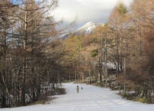 別荘地と蓼科山　2009年12月16日15：29