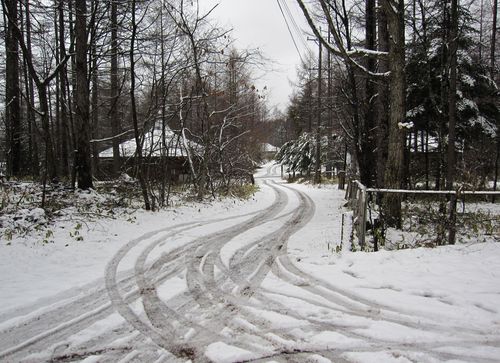 今年二度目の雪　2009年11月17日13：23