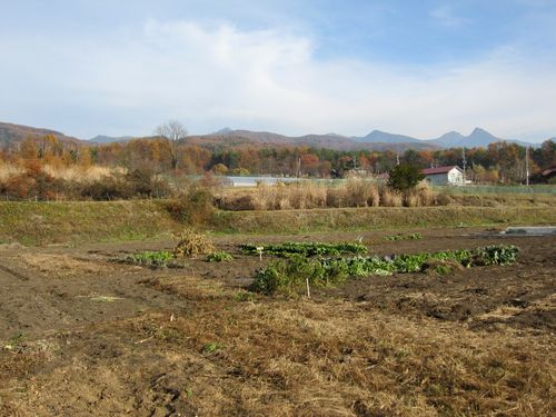 片付け終わった私の畑（手前）と八ヶ岳連峰　09年11月8日　