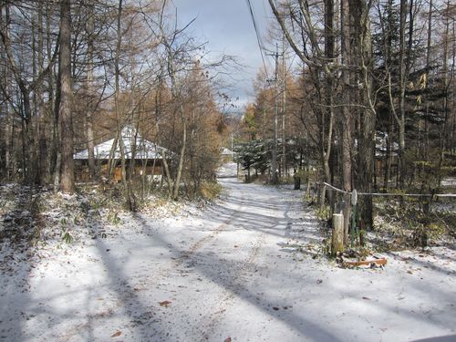 初雪の山荘前道路　2009年11月3日9：34am