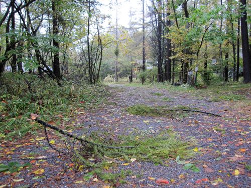 台風一過の山荘前道路 2009年10月8日