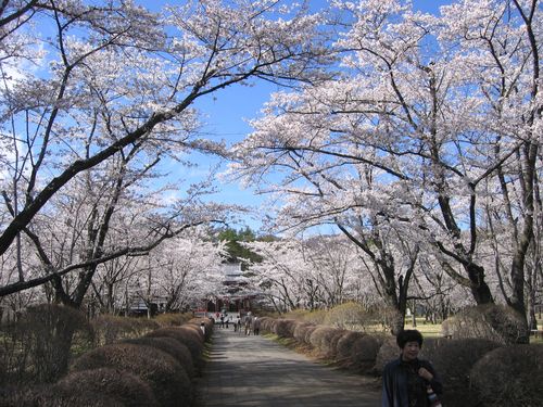 蓼科・聖光寺参道　2009年4月23日