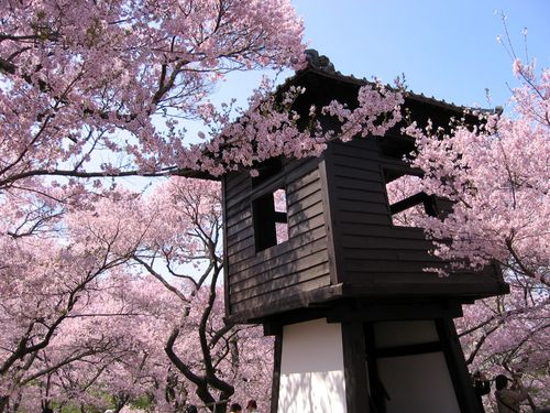 高遠城址公園の太鼓櫓（たいこやぐら）