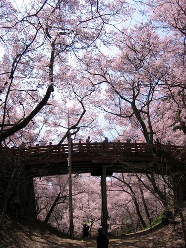 高遠城址公園／堀と橋　2009年4月13日