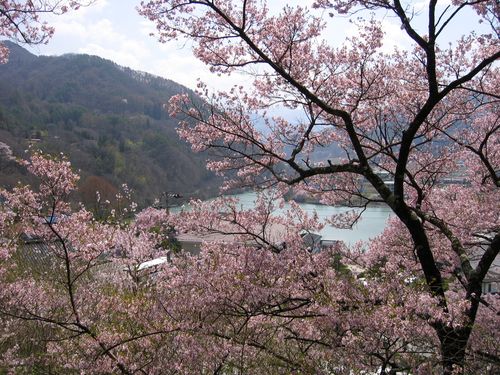 高遠湖と桜　2009年4月13日