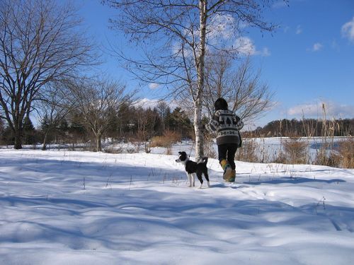 蓼科湖畔を散歩 2009年1月25日