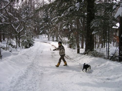 雪の別荘地内を散歩 2009.1.22