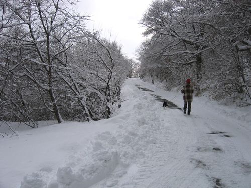 新雪の山荘周辺を散歩 2009.1.19