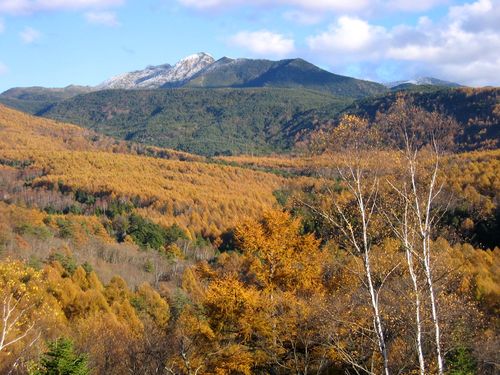 初冠雪した天狗岳など北八ヶ岳 2008.10.28