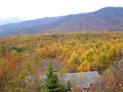 蓼科高原と八子ヶ峰 2008.1027