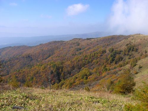 色付いた八子ヶ峰 2008.10.19