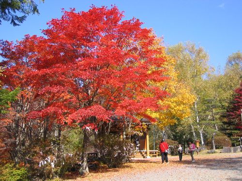 横谷観音の紅葉 2008.10.18