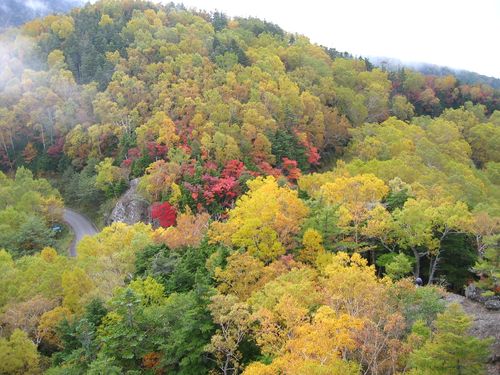大河原峠近くの「トキンの岩」から見た紅葉