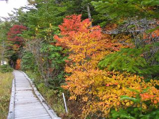 御泉水自然園　2008.10.9