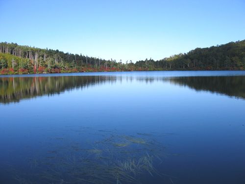 白駒池東岸 2008.10.2