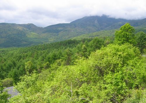 蓼科高原と八子ヶ峰・蓼科山 08.6.4