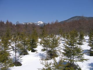 八方台登山道から見た茶臼山