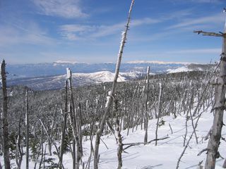 縞枯山山頂から乗鞍・北ｱﾙﾌﾟｽを望む