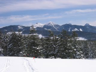 天狗岳・赤岳他　08.2.29