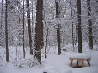 山荘庭の積雪　08.1.23