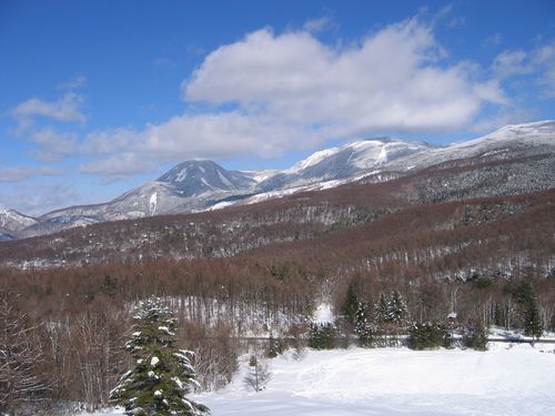 八方台登山道から見た蓼科山・北横岳　08.2.1