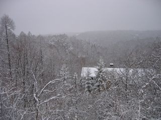 雪の降る別荘地　08.1.23