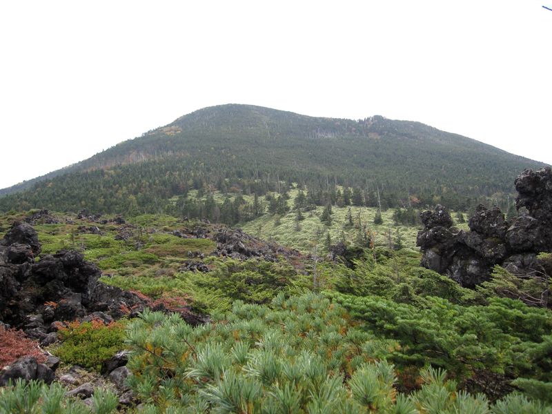 坪庭から見た縞枯山　2010.10.3