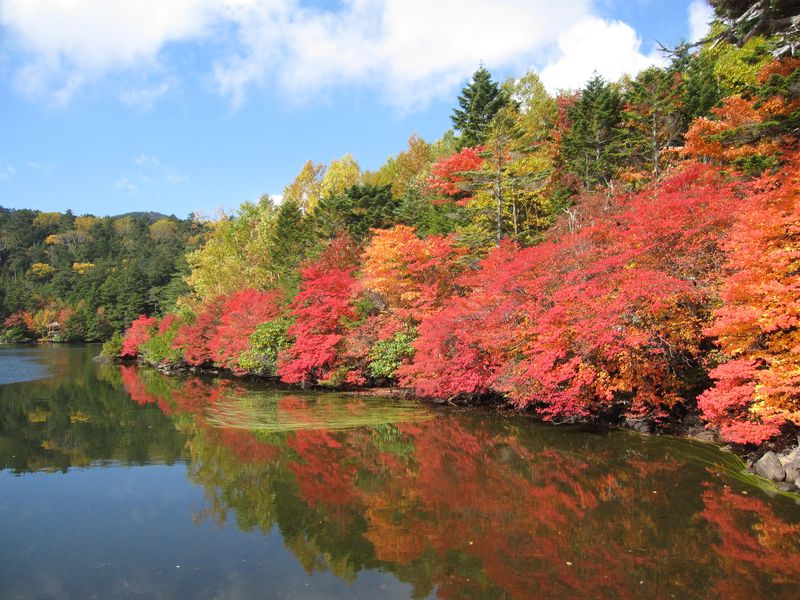 青苔荘前の白駒池紅葉　10.10.6