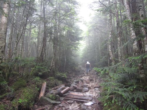 高見石への登山道　2010年8月15日