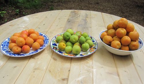 あんずと梅／あんずの里物産館で買ったもの