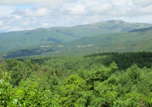 蓼科高原、向こうに見えるのは車山　2010年6月15日