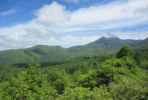 蓼科高原と蓼科山　2010年6月15日