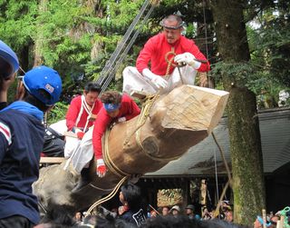 冠落しした御柱に縄を結び付ける 2010年5月8日15：57