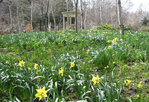 バラクラ①　2010年4月21日