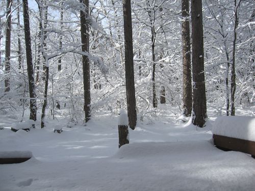 ベランダから見た庭の積雪　2010年4月17日7：19