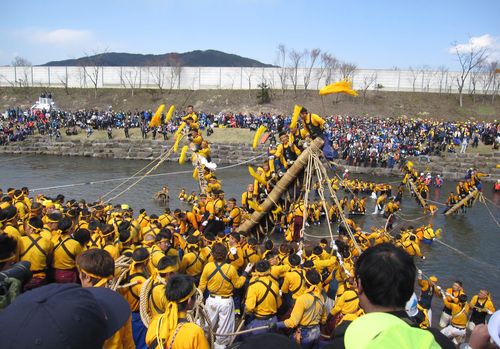 川越しする御柱　2010年4月3日午後２時過ぎ