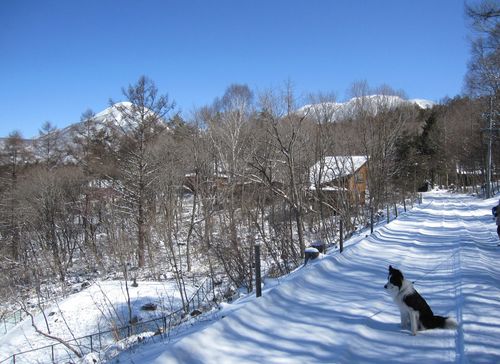 春の積雪／後ろ左は蓼科山、右は北横岳　2010.3.30