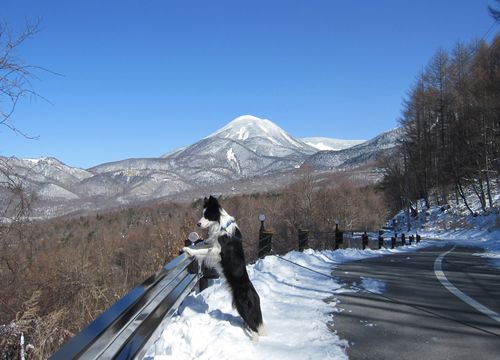 春の雪景色を眺める／後ろは蓼科山　2010年3月30日