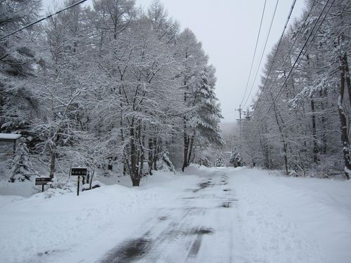 近くの道路の積雪　2010年3月8日朝