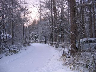 12月夕方の山荘前道路 07.12.18