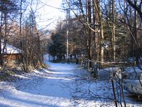 山荘前の道路の新雪　07.11.19