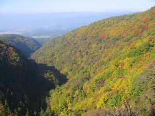 横谷峡の紅葉07.10.25