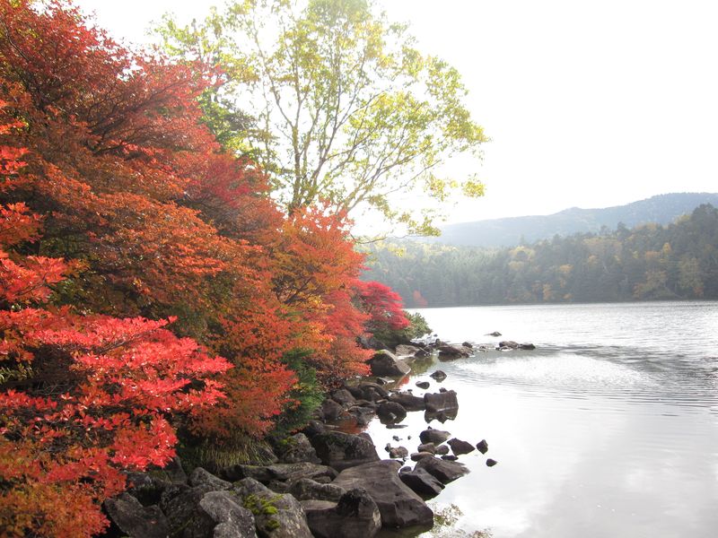 青苔荘前の紅葉  10.10.6