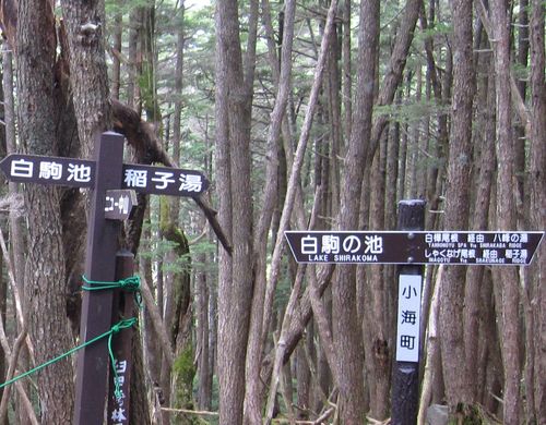 ニュウ・稲子湯の分岐点　2010.10.6